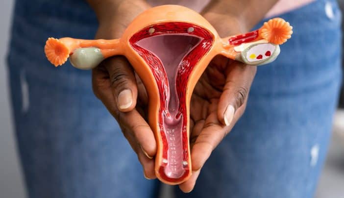 PCOS Ovary Ultrasound vs Normal 2