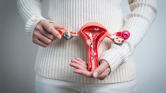 PCOS Ovary Ultrasound vs Normal